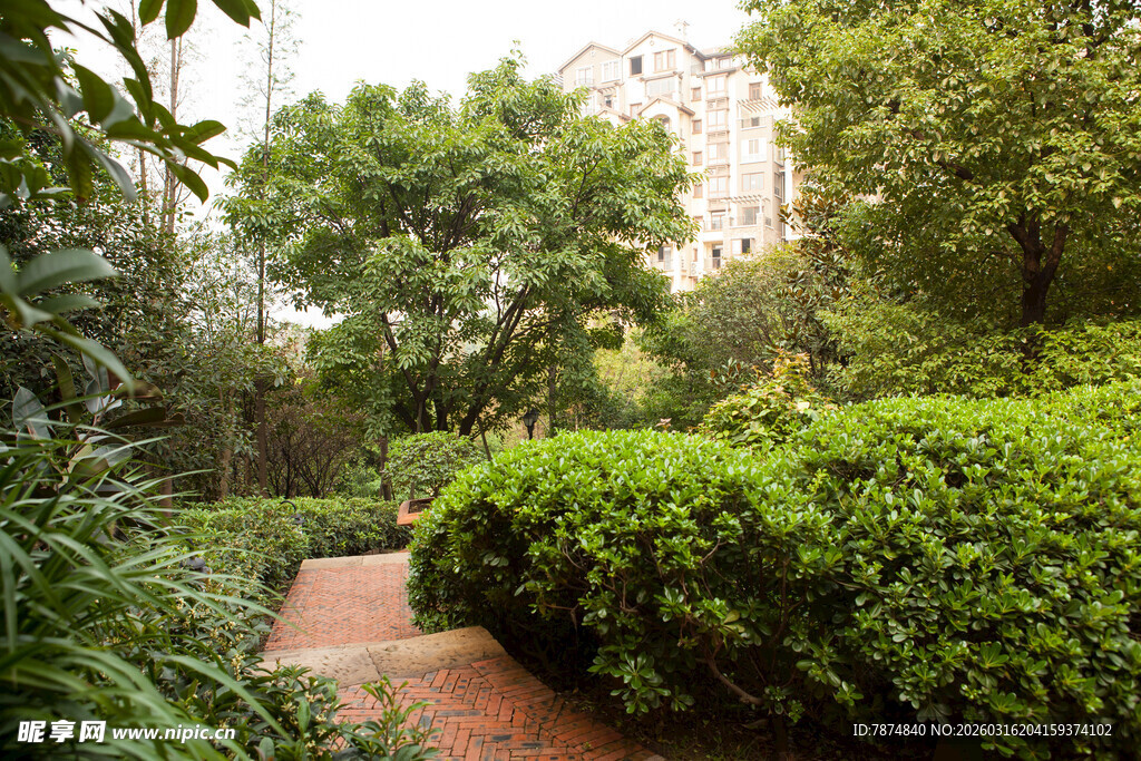 绿意盎然的林间小径