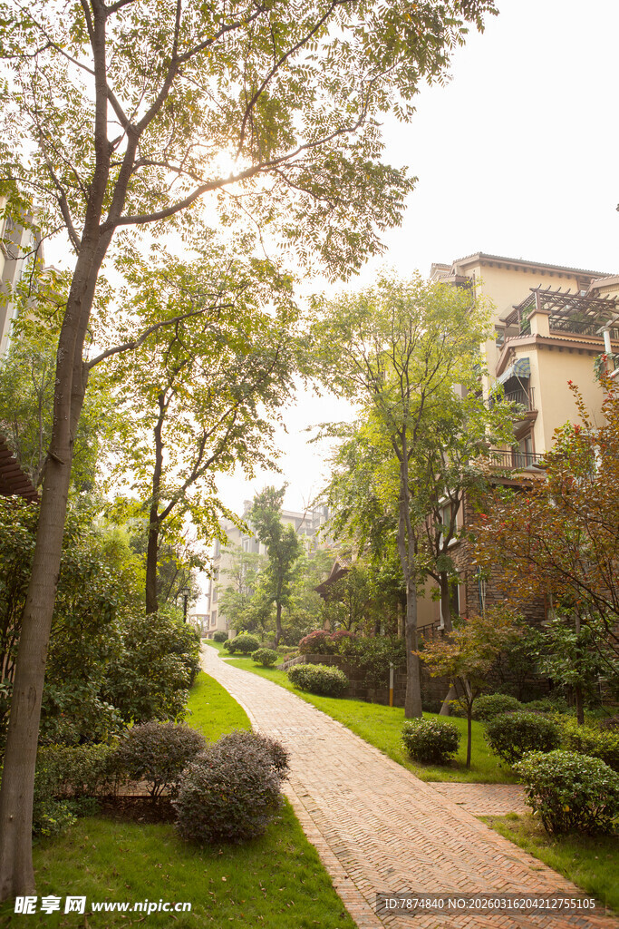 静谧林荫中的雅致住宅