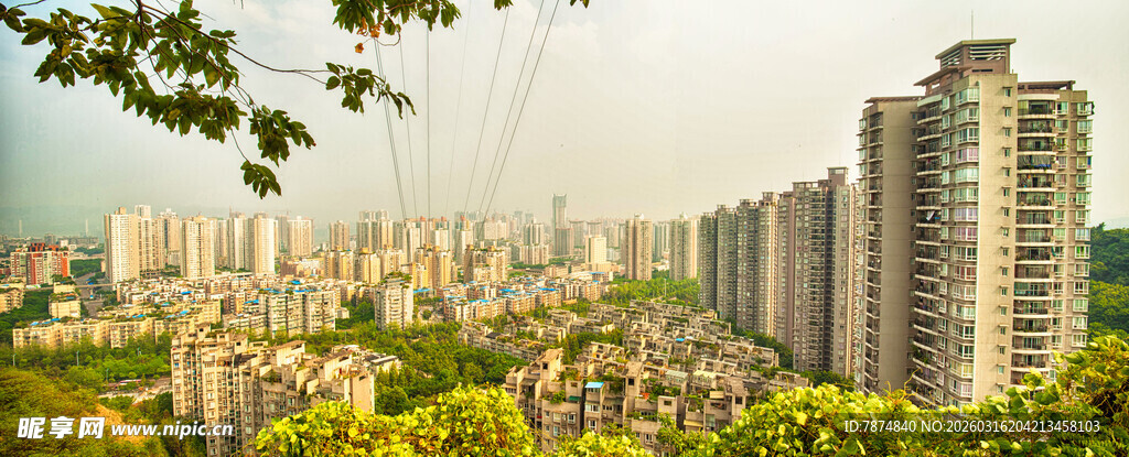 城市高楼与绿植景观
