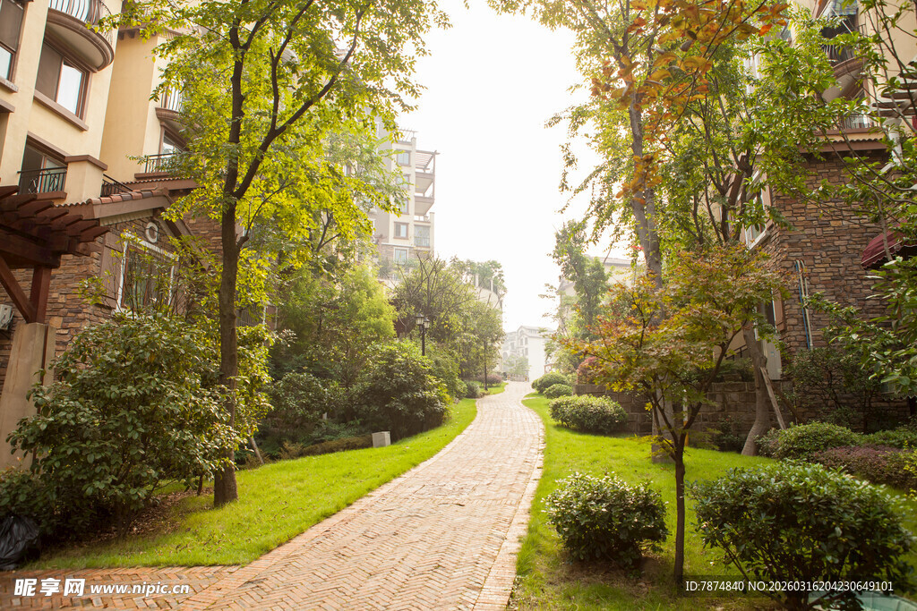 小区林荫小道景观