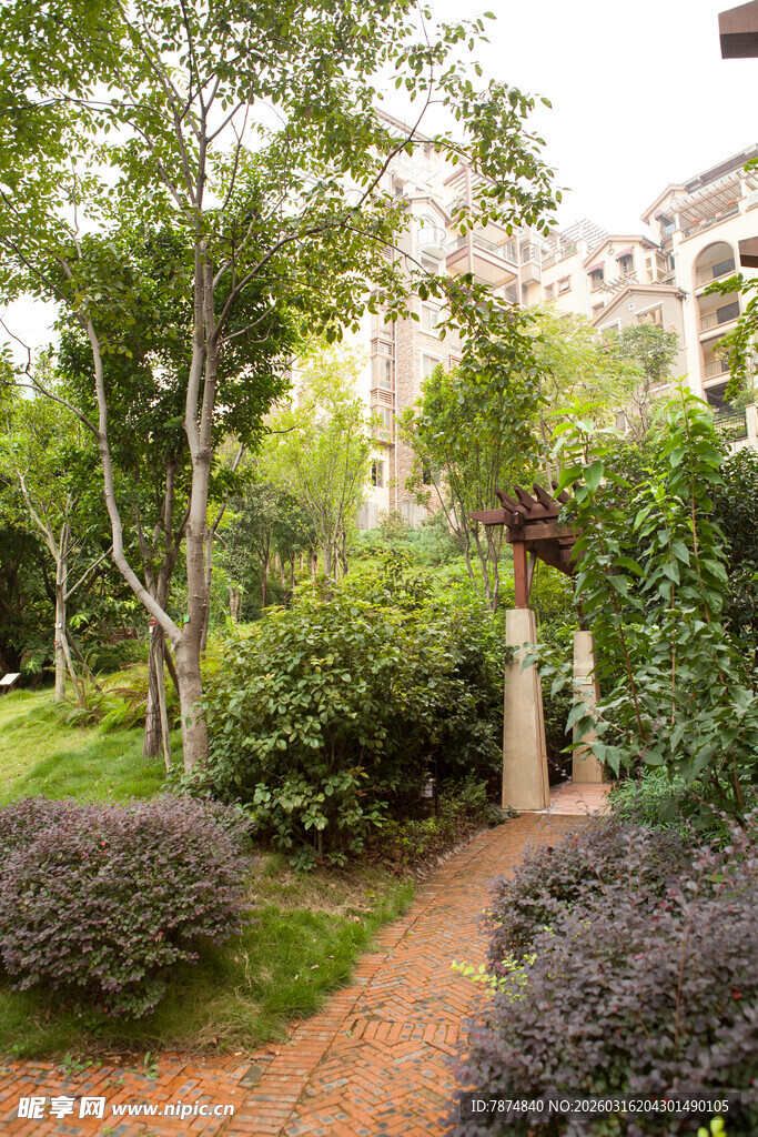 静谧雅致的园林小径景观