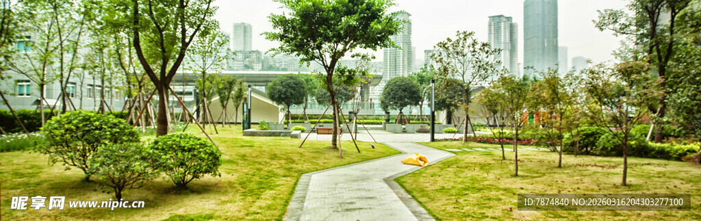 城市中静谧的林荫小径