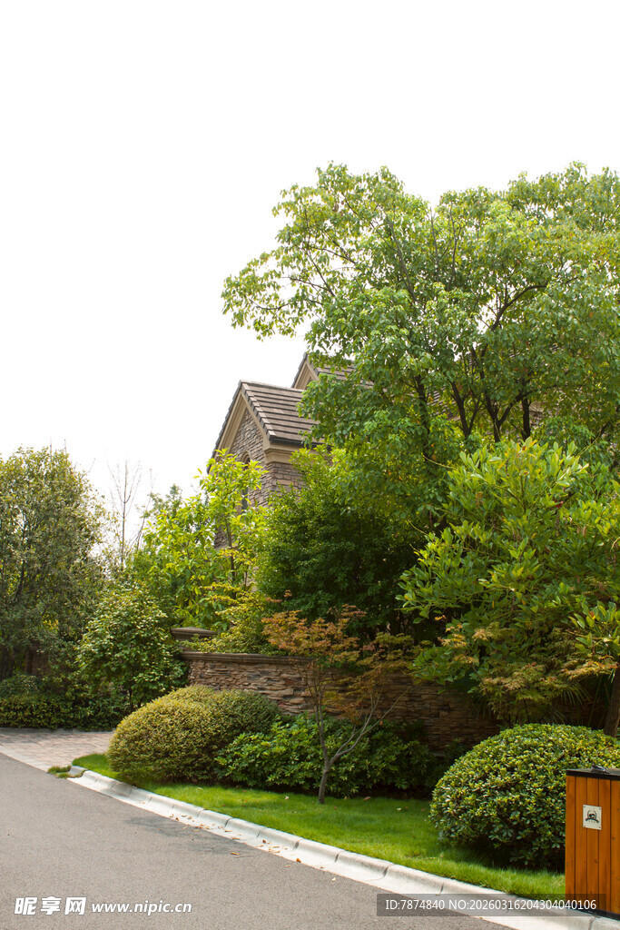 宁静住宅区的绿意景致