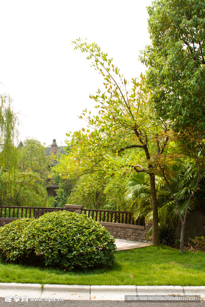 绿意盎然的公园景观