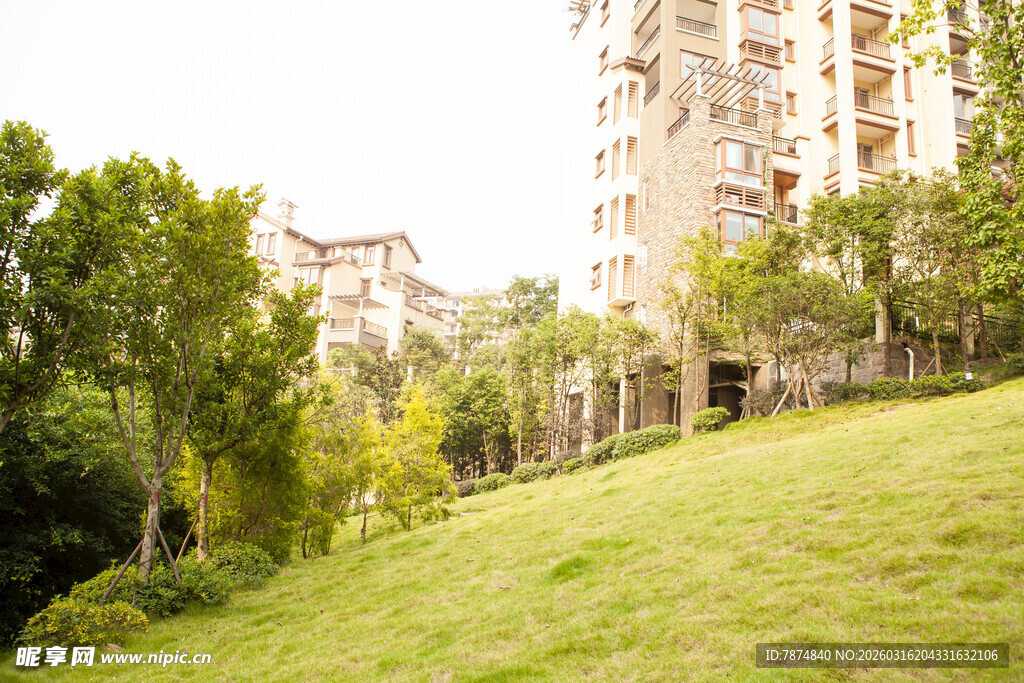 小区内的绿意盎然景观