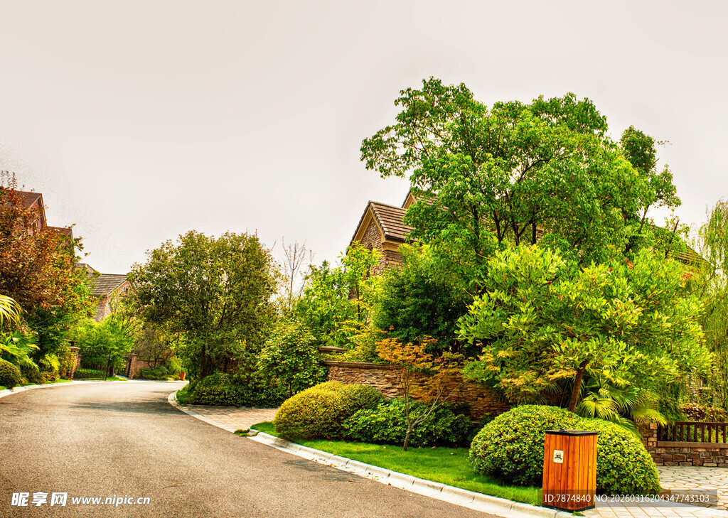 宁静社区的绿意景观