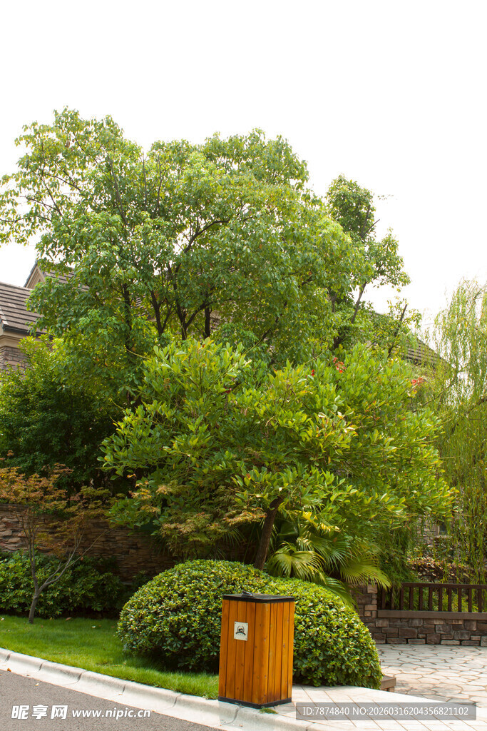 路边绿树与橙色垃圾桶