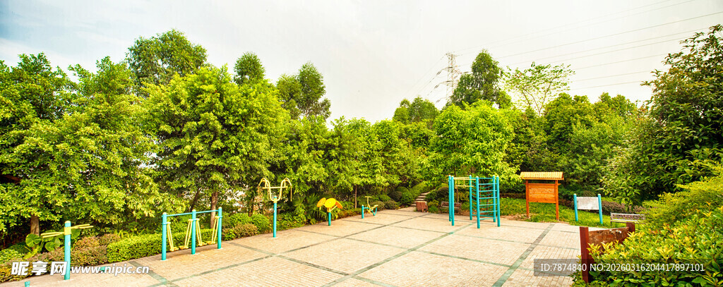 绿意盎然的户外健身场所