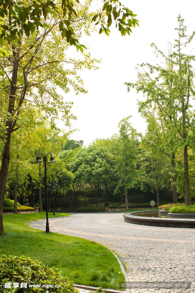 城市中的静谧林荫小径