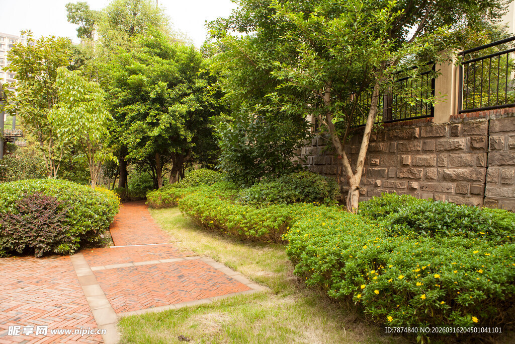 庭院绿植小径景观