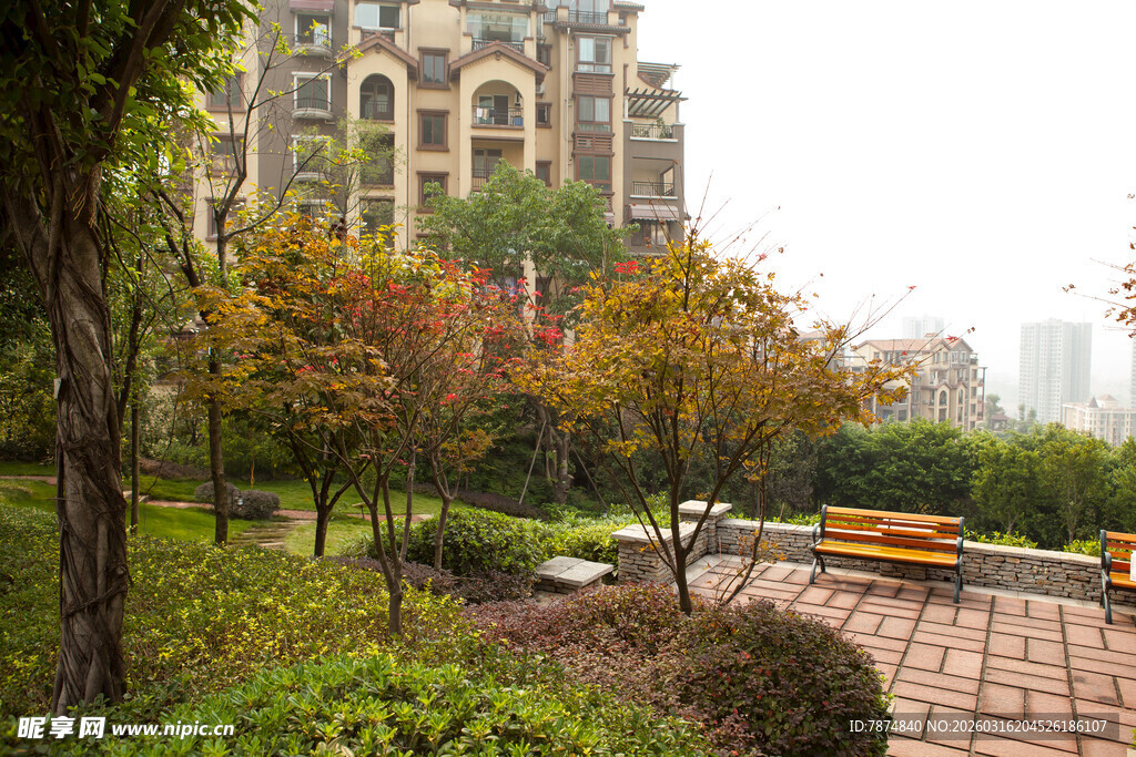 小区内的秋日园林景观