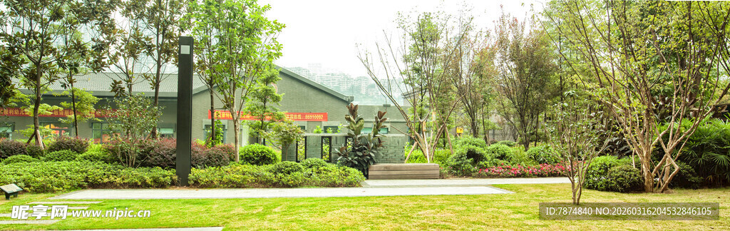 绿意盎然的户外休闲场景