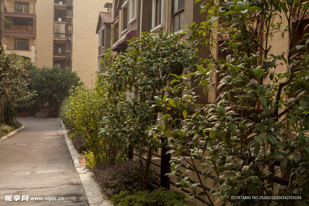 小区内幽静的绿植小道