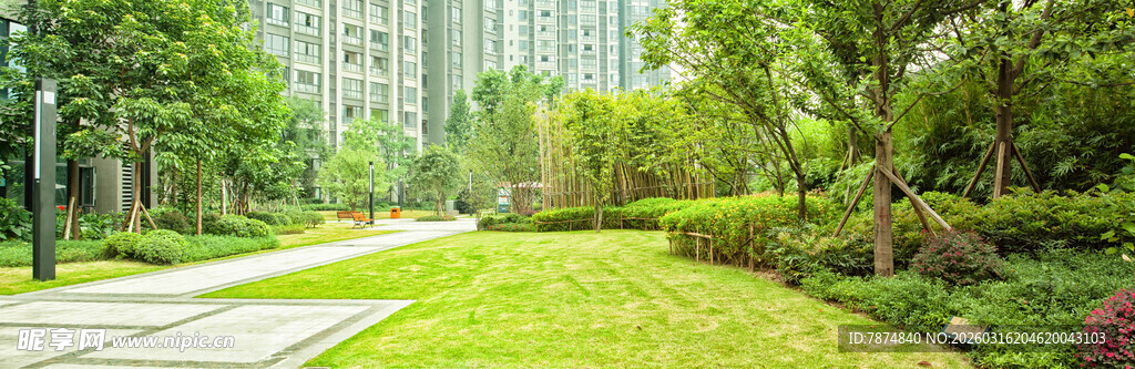 城市中静谧绿意盎然的小路