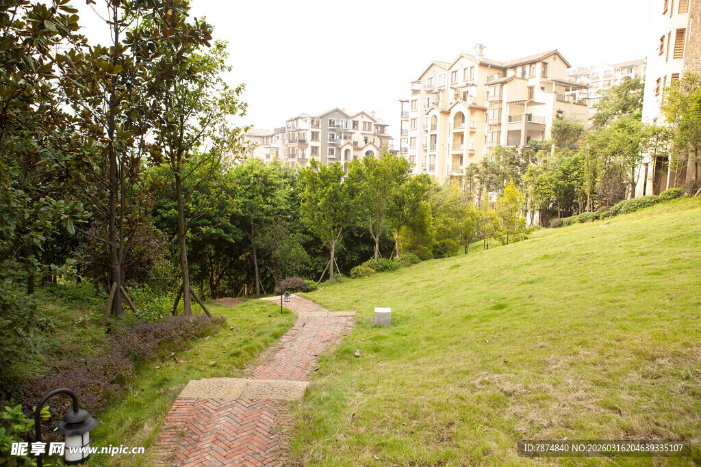 小区中的幽静绿植小径