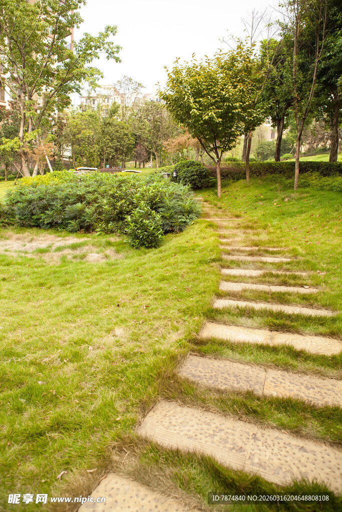 林间石板小径 绿意盎然