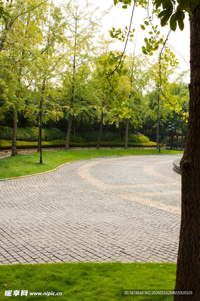 公园内的砖石步道与绿树