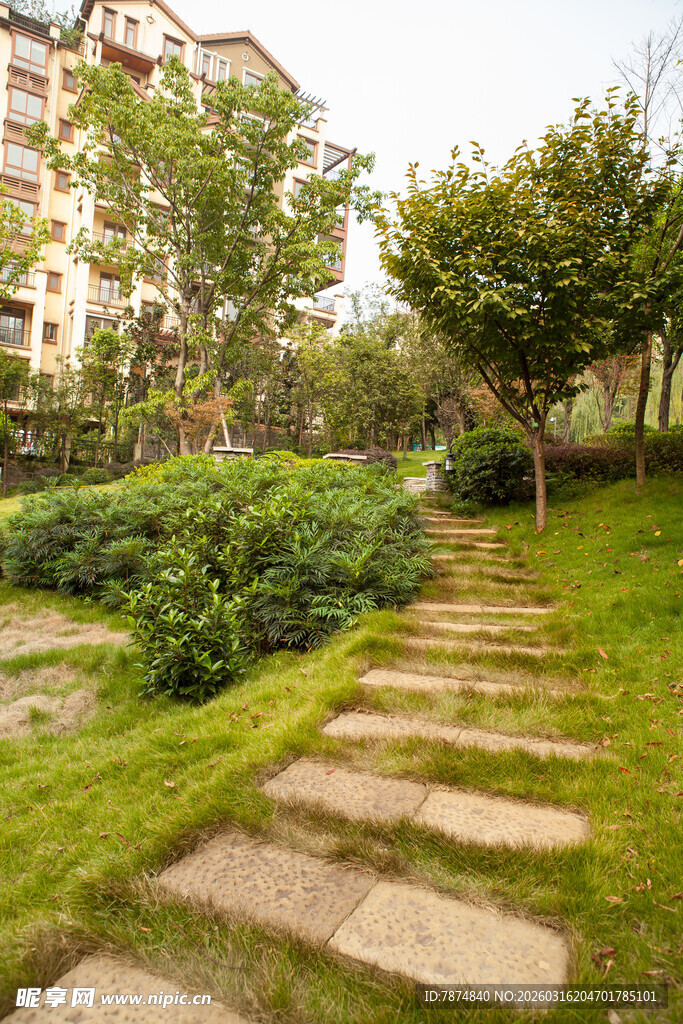 花园石板小径与绿植景观