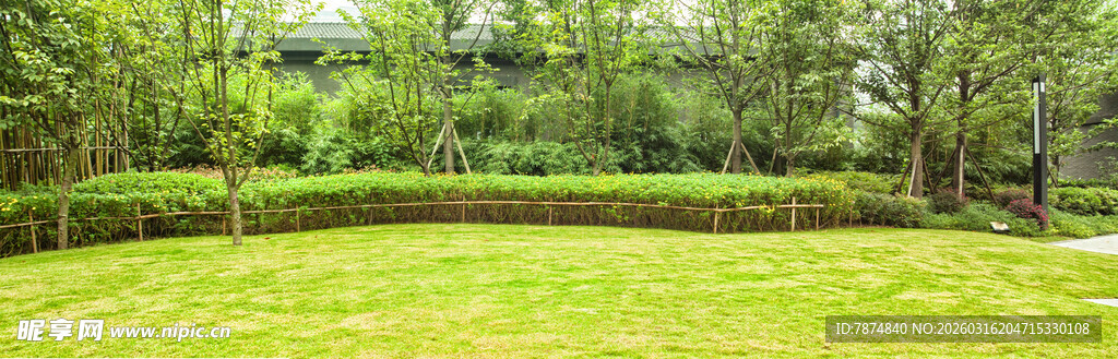 绿意盎然的庭院草坪景观