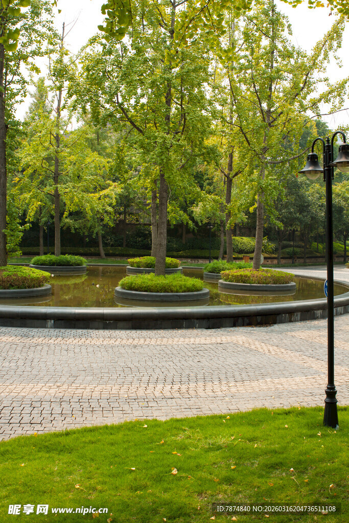 城市公园绿意盎然景观