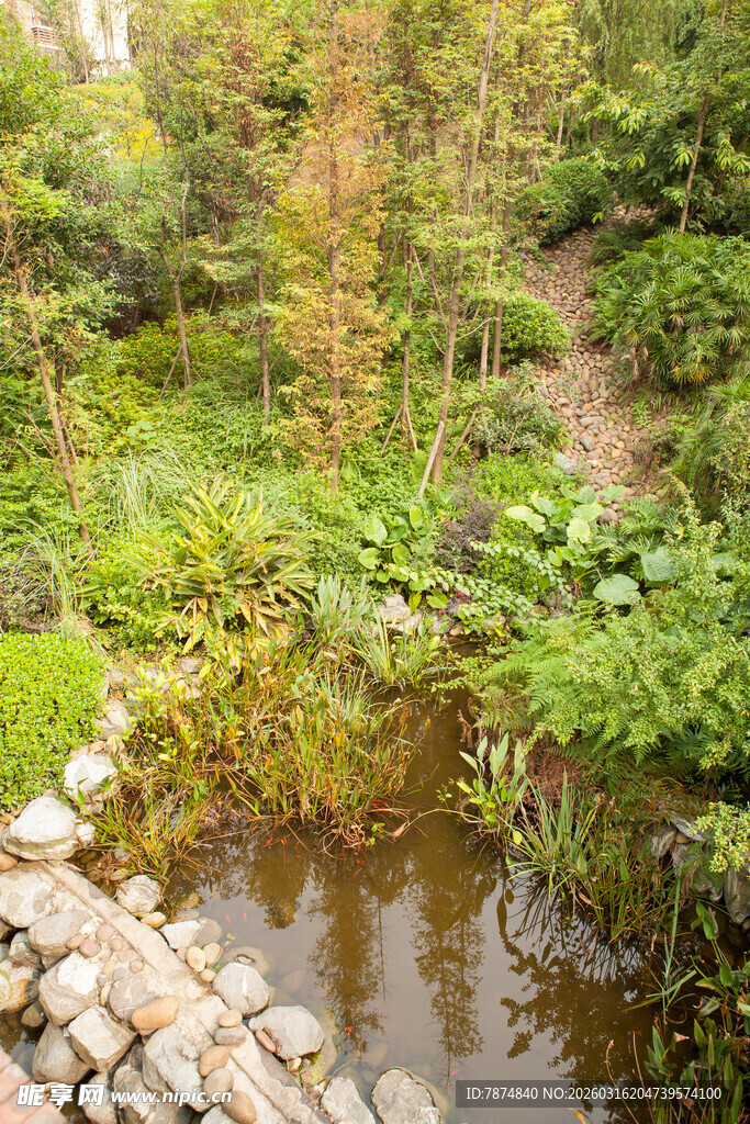 山间溪流旁的自然景致