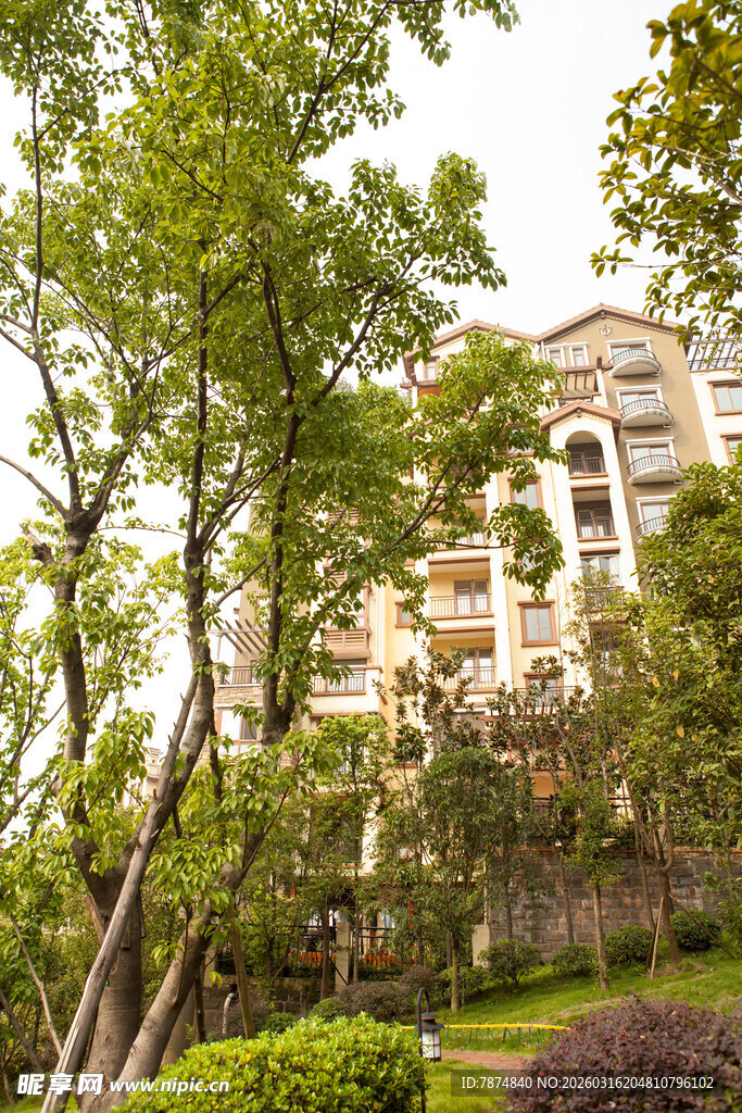 绿树环绕的精美住宅区