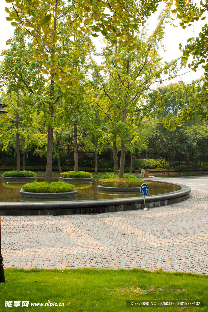 城市中的环形绿植景观区