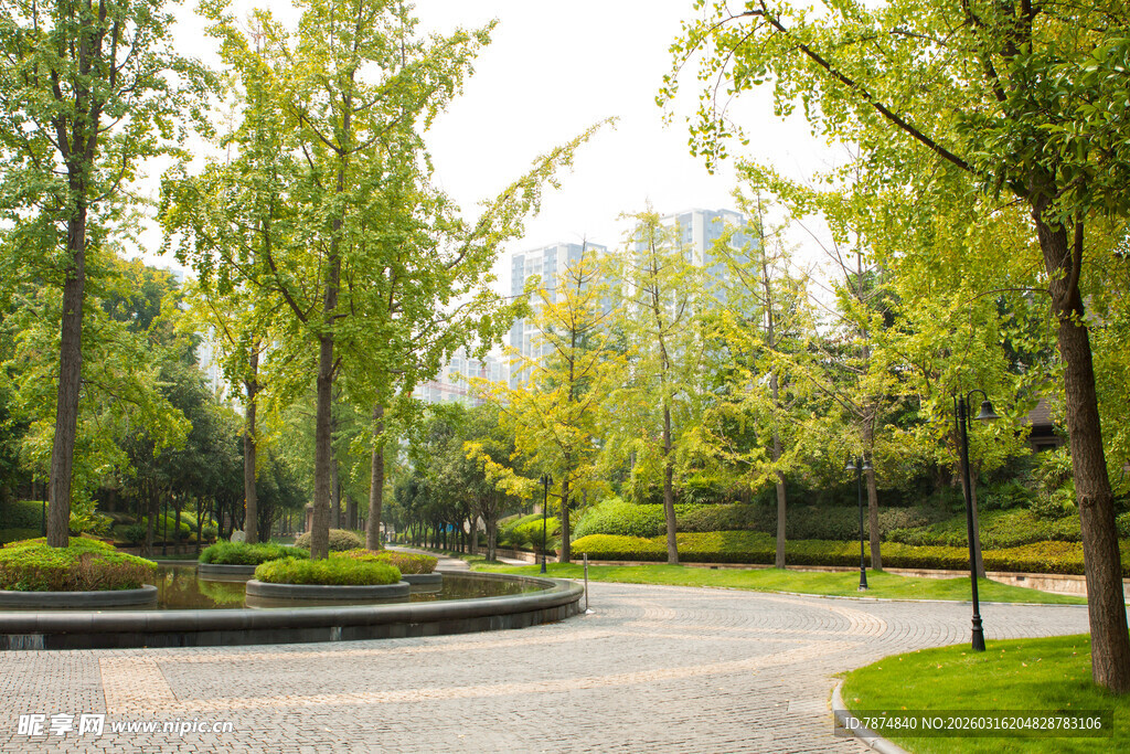 城市中的静谧林荫公园