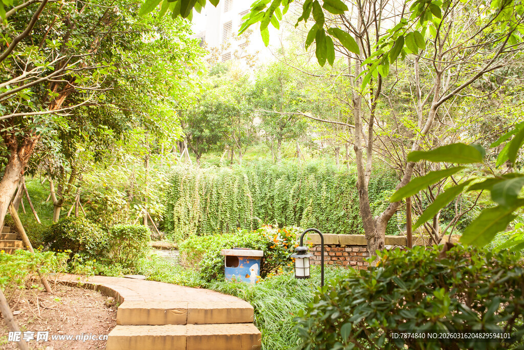 静谧林间步行小径景观