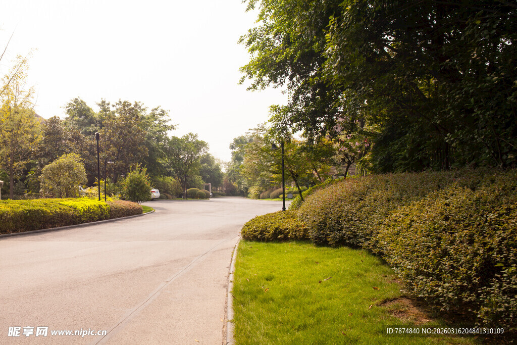 林荫大道 绿意盎然的景致