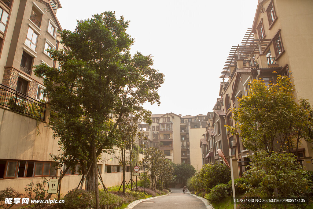 小区内绿树环绕的道路