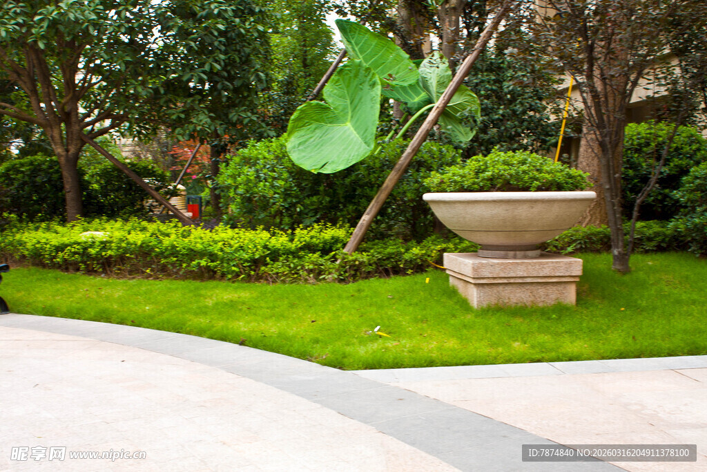 庭院绿植景观与石制水盆