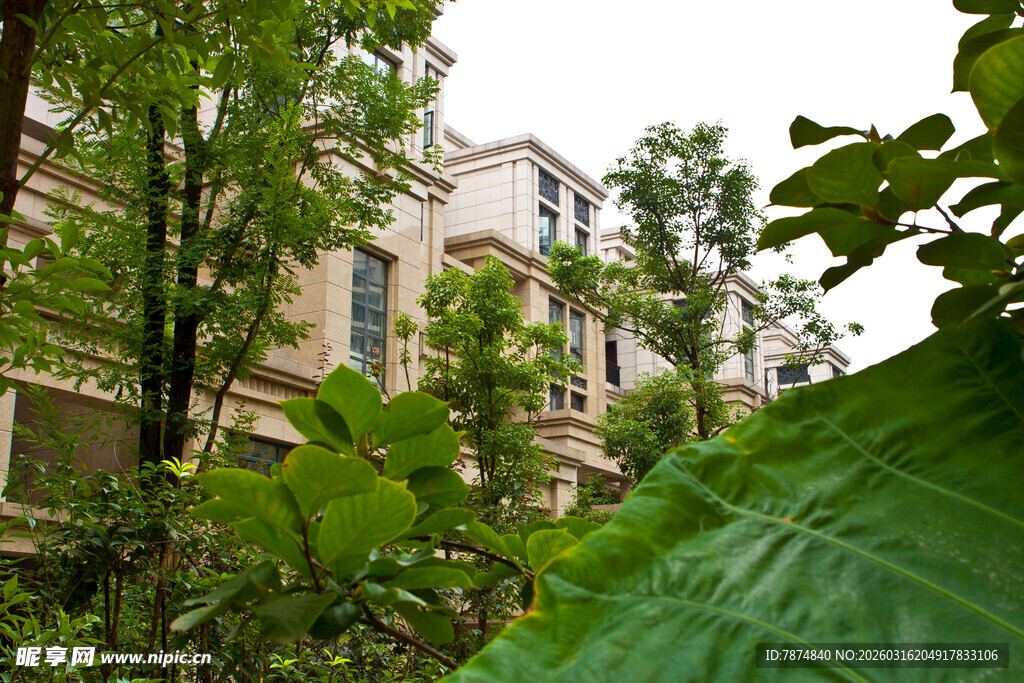 绿树环绕的温馨住宅小区