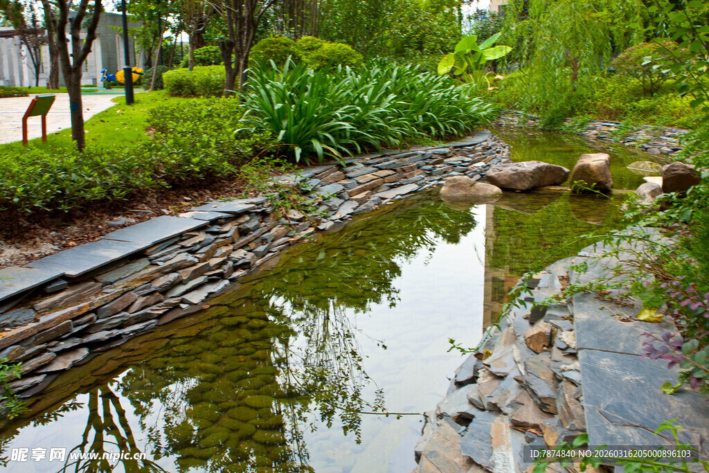 自然景观中的清幽溪边景致