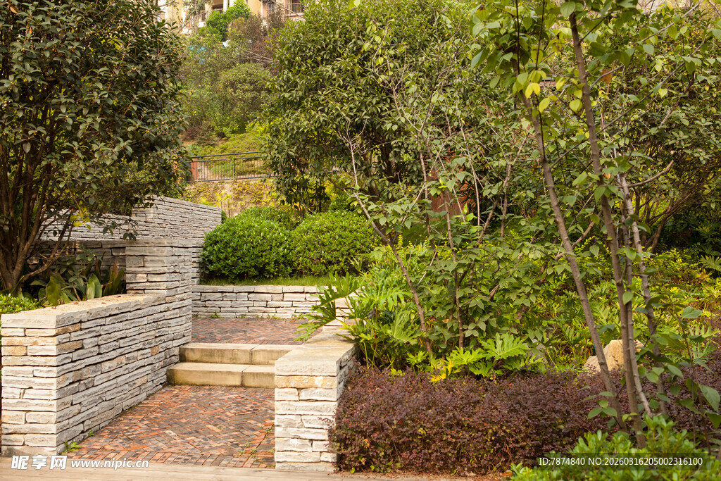 花园中的石砌小径景观