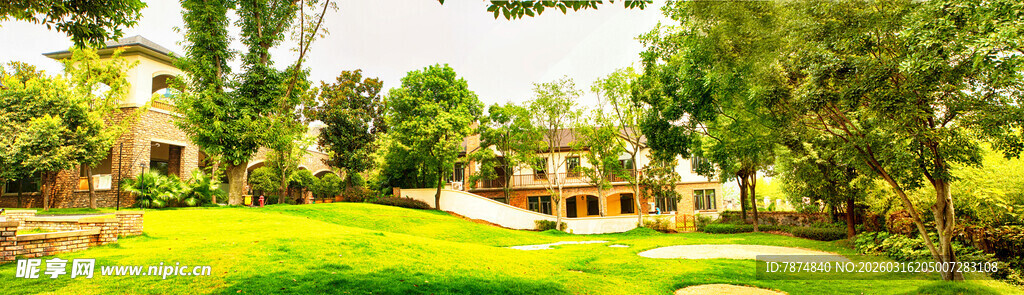 绿意盎然的庭院景观