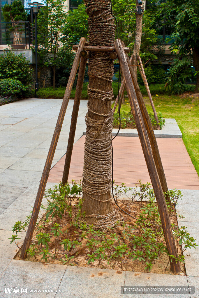 树旁木质三角架与秋千