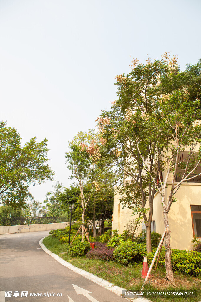 蜿蜒路旁的精致绿植建筑