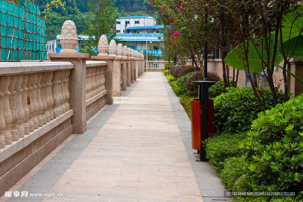 城市中静谧的林荫步道