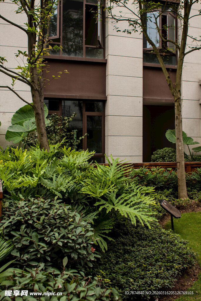 城市建筑旁的绿植景观