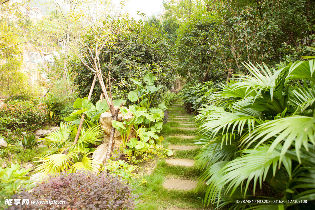 绿意盎然的花园小径