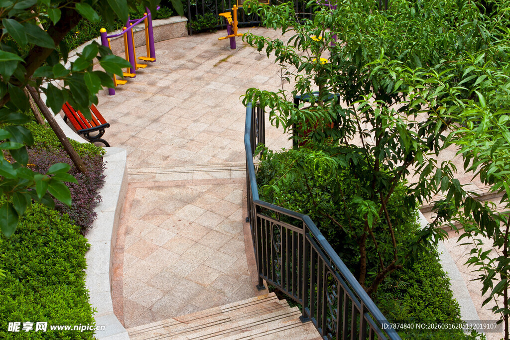 花园中的蜿蜒小径