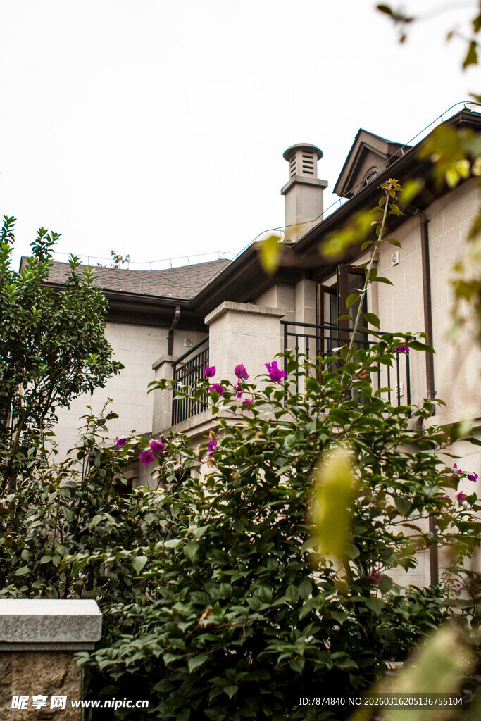 欧式别墅旁的繁茂绿植