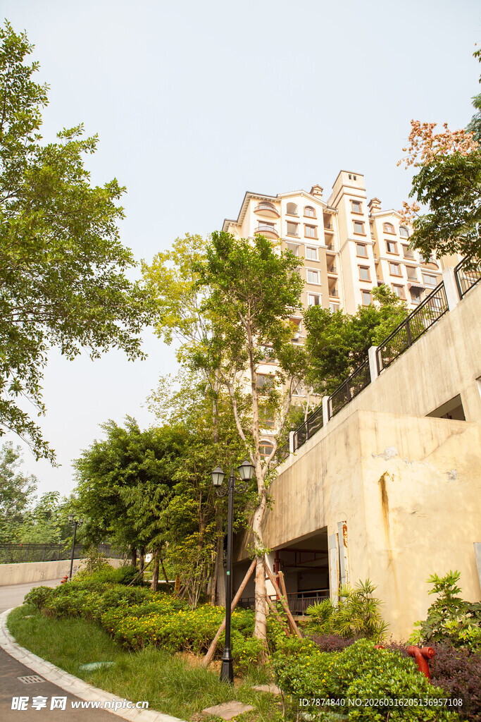 小区旁绿意盎然的道路景观