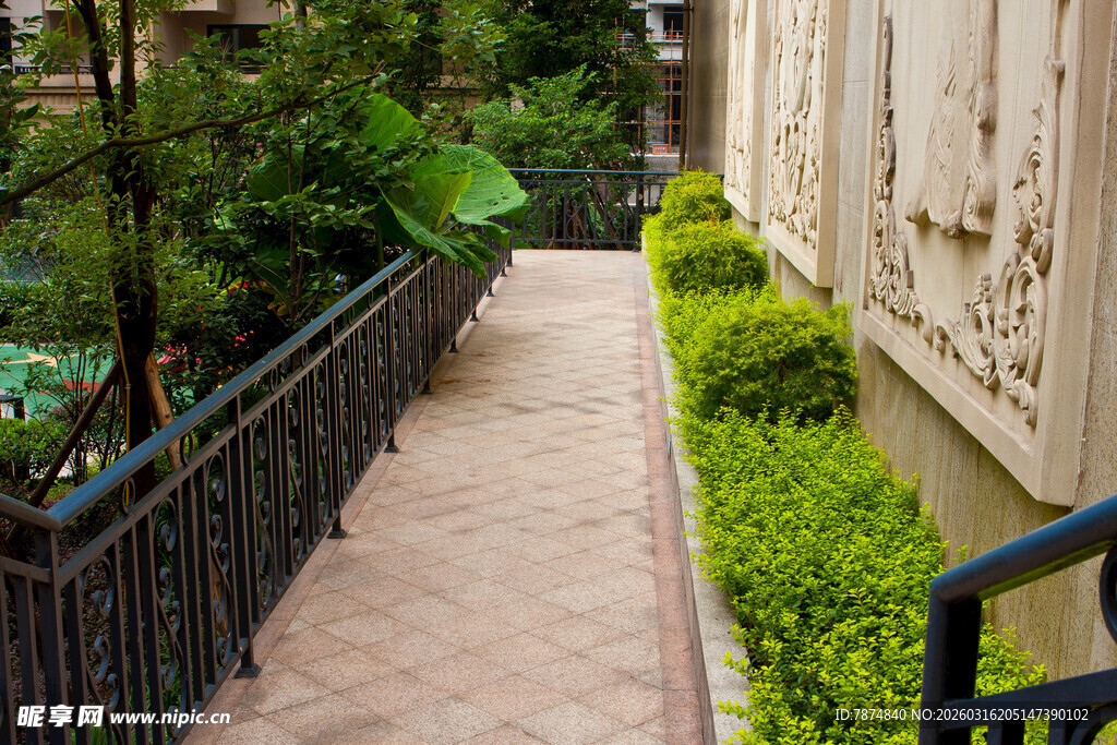 庭院小径绿植环绕景致美