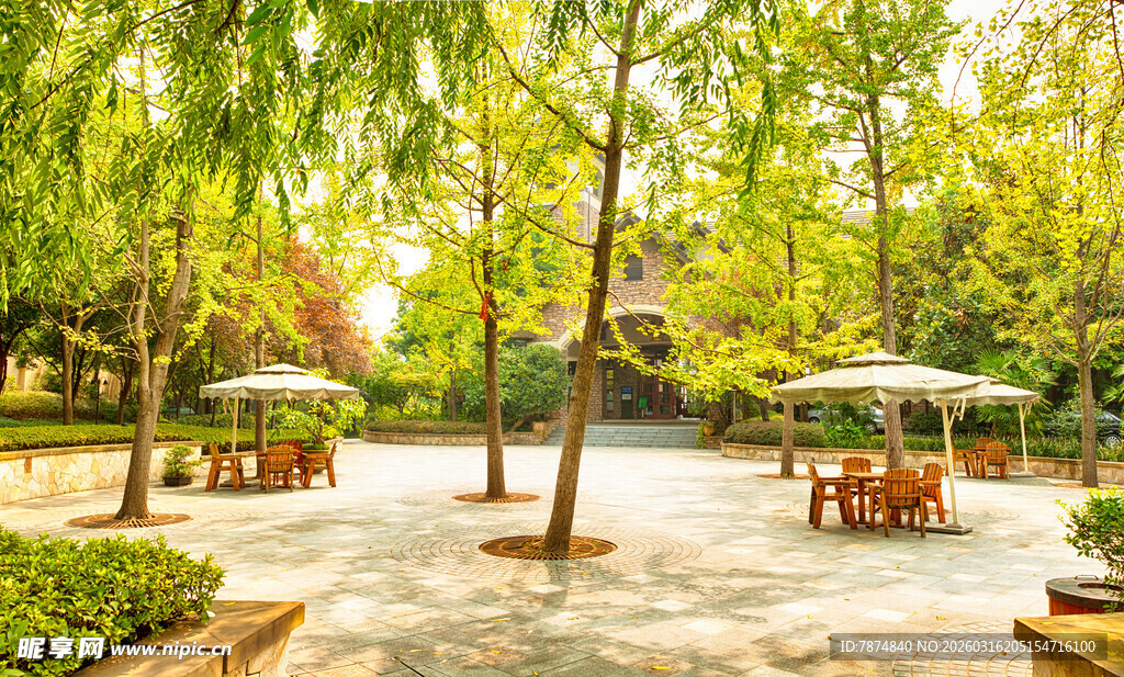 公园林荫下的休闲场景