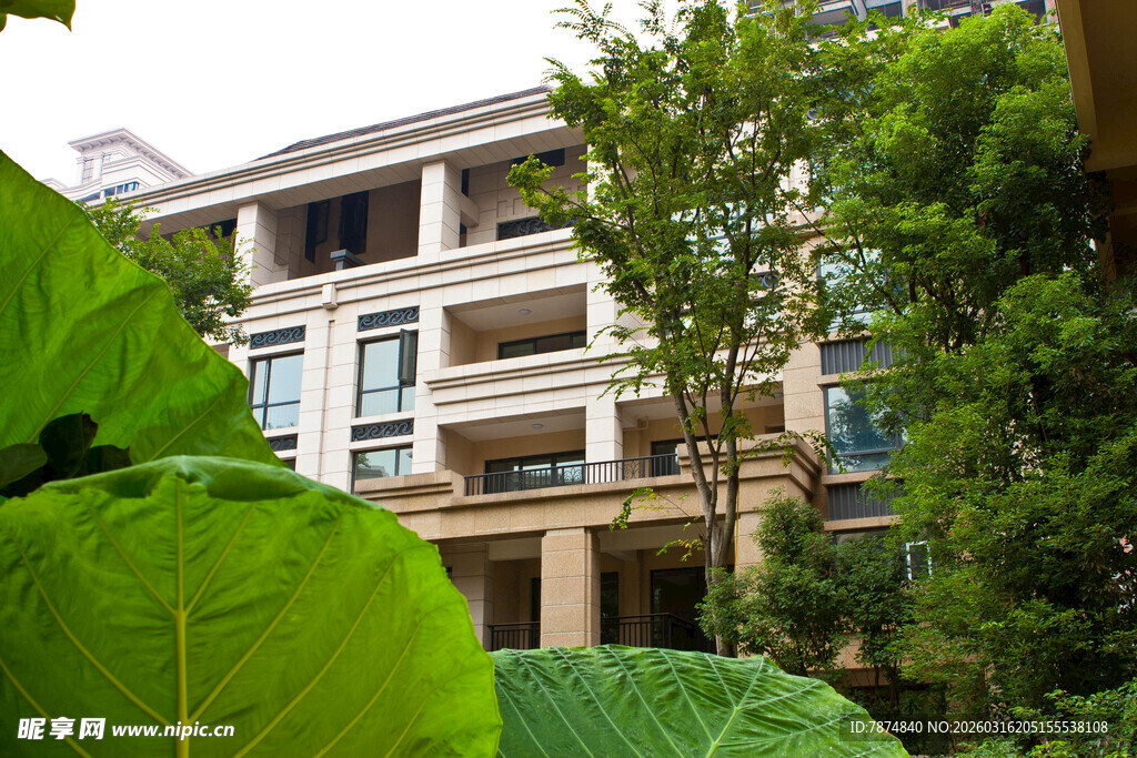 绿植环绕的现代雅致建筑