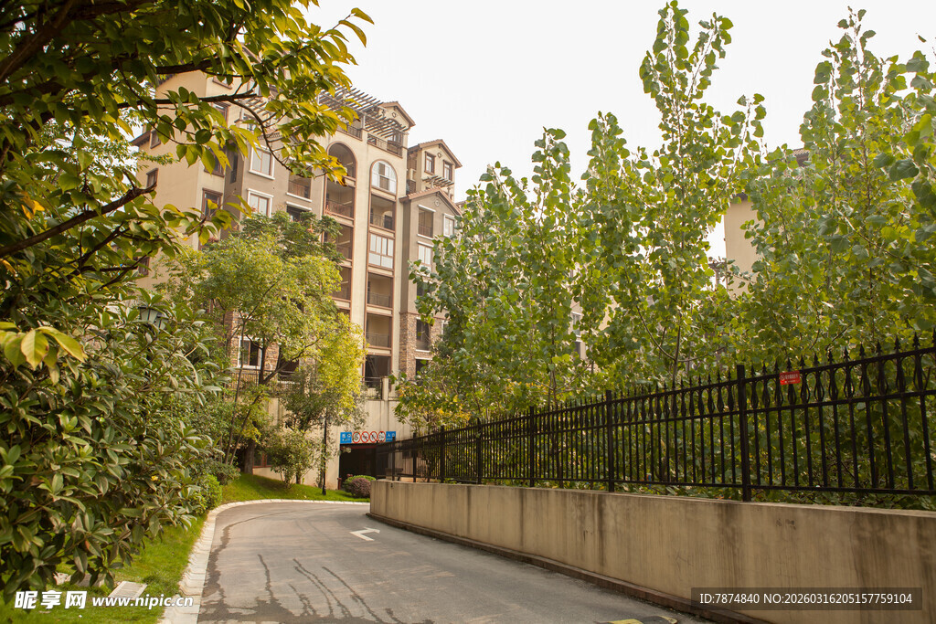 小区林荫小道景观