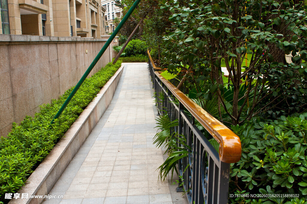 小区内幽静的绿植步道