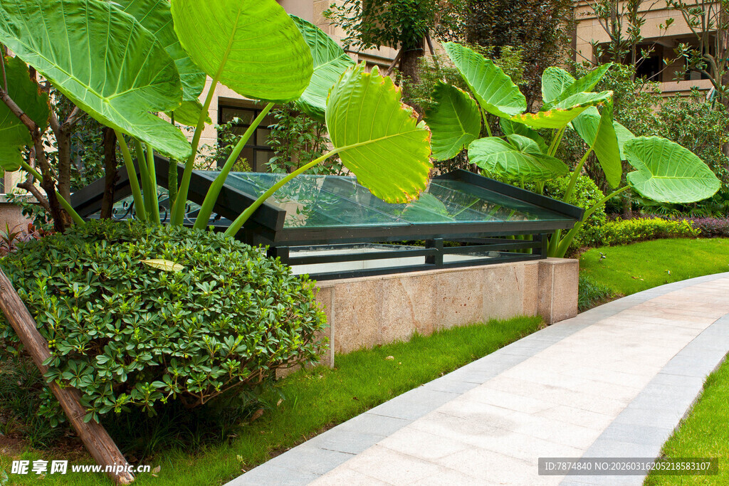 庭院绿植景观小径